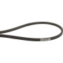 Courroie trapézoïdale TORO 282650