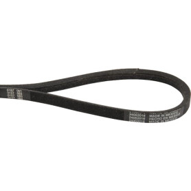 Courroie trapézoïdale TORO 623900