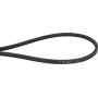 Courroie trapézoïdale TORO 926991