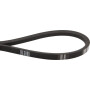 Courroie trapézoïdale TORO 954095