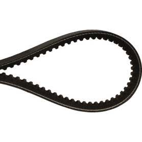 Courroie OPTIBELT AVX112820