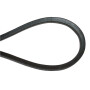 Courroie OPTIBELT FGP009601