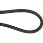 Courroie UNIVERSEL FGP016419