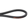 Courroie UNIVERSEL FGP016409