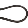 Courroie UNIVERSEL FGP016407