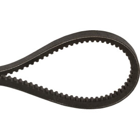 Courroie OPTIBELT AX13880