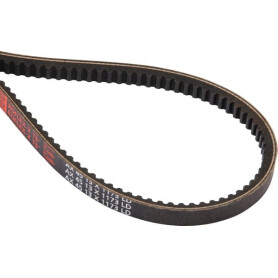 Courroie CASE IH 294462A1