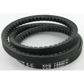 Courroie trapézoïdale MASCHIO F06010066R