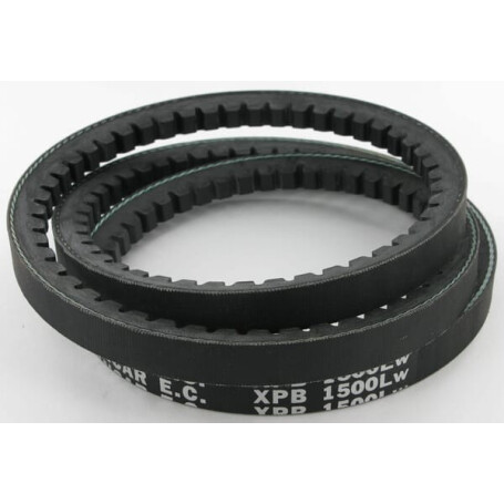 Courroie trapézoïdale MASCHIO F06010066R