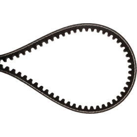 Courroie BRILL B15036