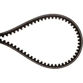 Courroie BRILL B15036