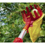 Cueille-fruits OUTILS-WOLF SBM
