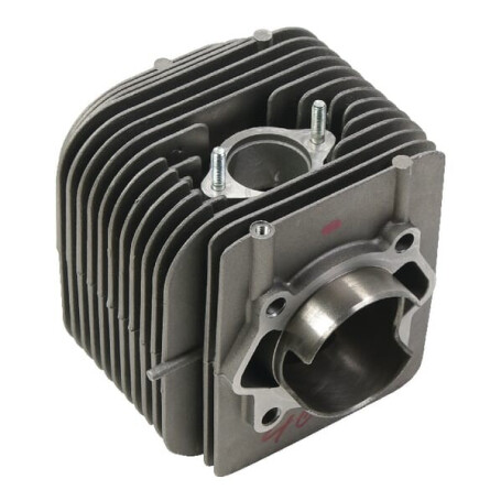 Cylindre BRIGGS ET STRATTON 794849