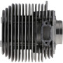 Cylindre AS-MOTOR E10909ASM