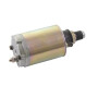 Démarreur KOHLER 4109806S