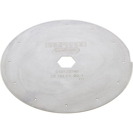 Disque GASPARDO G22230306R