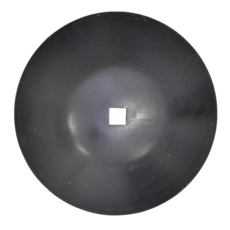 Disque FORGES DE NIAUX HDF409975