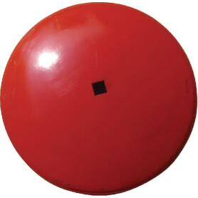 Disque KVERNELAND - RAU RF28474