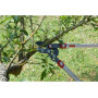 Elagueur OUTILS-WOLF OR750