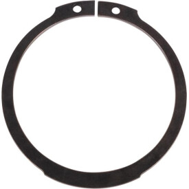 Elastic ring ZF 0630501045