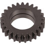 Engrenage CNH 5125006