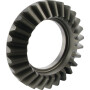 Engrenage LELY FEL200033