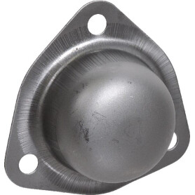 Enjoliveur CASE IH 713238R1