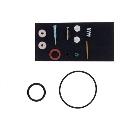 Kit reparación carburador BRIGGS ET STRATTON 492077 - 494349