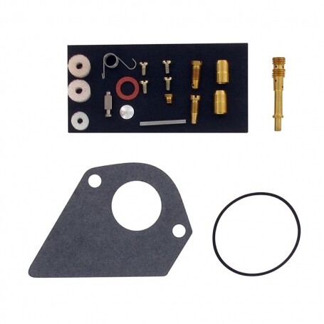 Kit reparación carburador BRIGGS ET STRATTON 498116