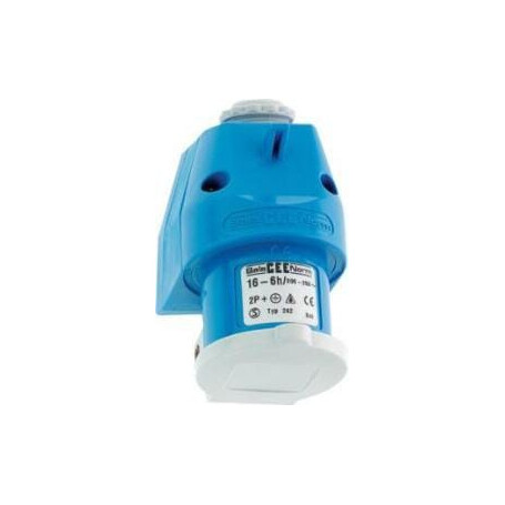 Fiche BALS B000242