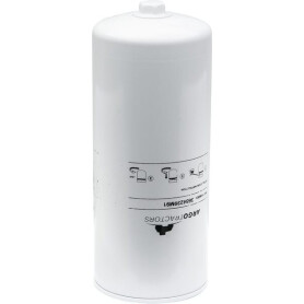 Filtre LANDINI 3684239M91