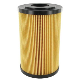 Filtre MP-FILTRI F33P25A