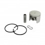 Piston complet ALPINA - CASTOR 8540960