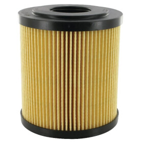 Filtre MP-FILTRI MF4001P25NB