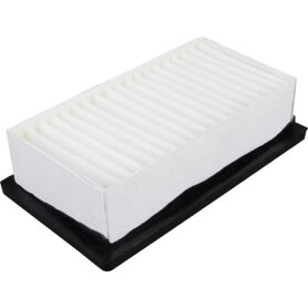 Filtre FLEETGUARD AF55766