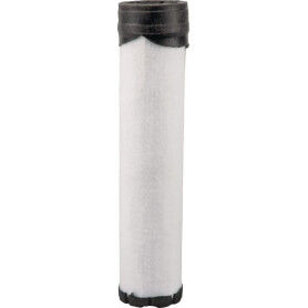 Filtre BRIGGS ET STRATTON 821136