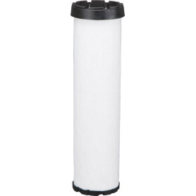 Filtre FLEETGUARD AF25618