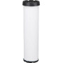 Filtre FLEETGUARD AF25491