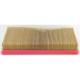 Filtre LOMBARDINI 2175165