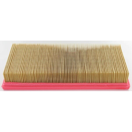 Filtre LOMBARDINI 2175165