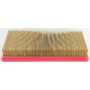 Filtre LOMBARDINI 2175165