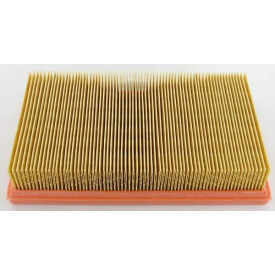 Luftfilter Lombardini LOMBARDINI 2175164