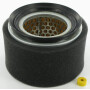 Filtre LOMBARDINI 2175254