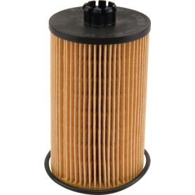 Filtre FLEETGUARD LF3819