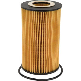 Filtre MANITOU MA608773