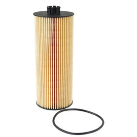 Filtre SDF 2931093