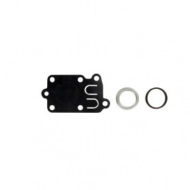 Kit membrane muelle et junta BRIGGS ET STRATTON 270026