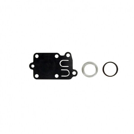 Kit membrane muelle et junta BRIGGS ET STRATTON 270026