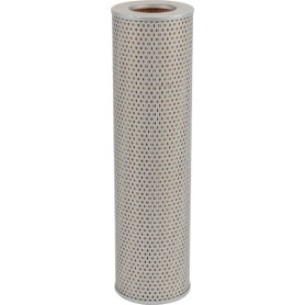 Filtre ARGO-HYTOS P2093302