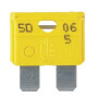 Fusible ETESIA ET25824